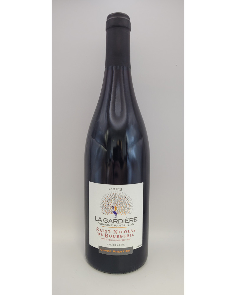 Saint Nicolas De Bourgueuil 75cl